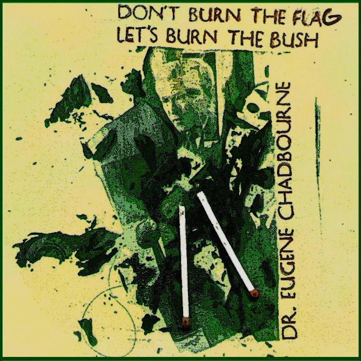 2001 Don't Burn the Flag Burn the Bush